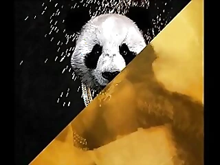 Subs Panda Veil dari Desiigner melakukan sesi menggosok-down yang panas, meneroka wilayah yang tidak diterokai.
